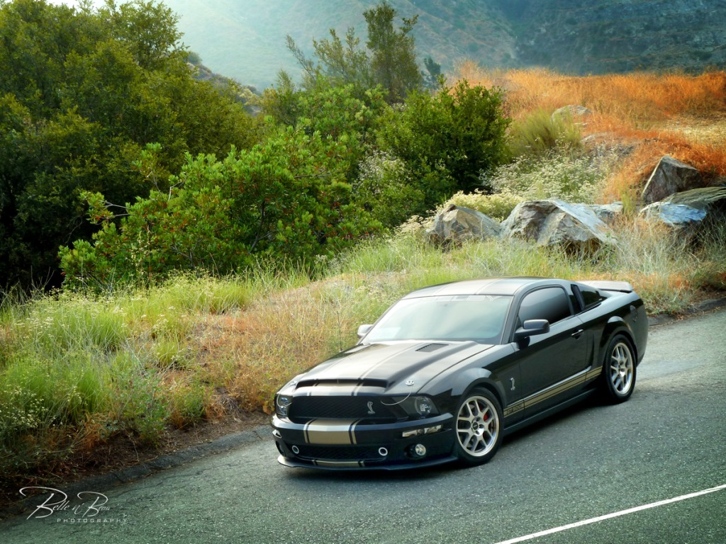 Name:  mountains332Cre.jpg
Views: 230
Size:  330.4 KB