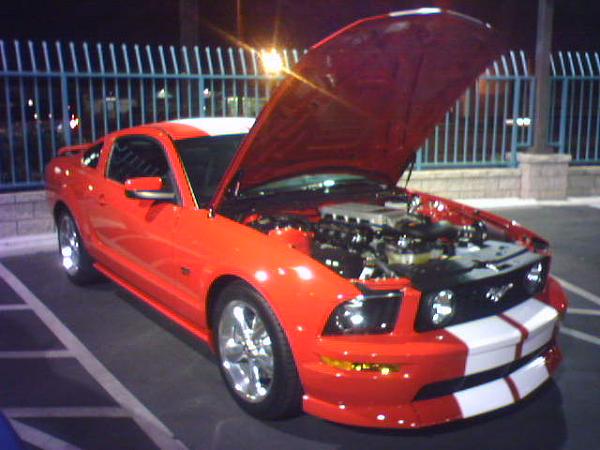 Ponies on The Run!-photo_1088.jpg