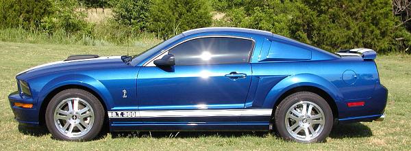 Ponies on The Run!-cobra-emblems.jpg