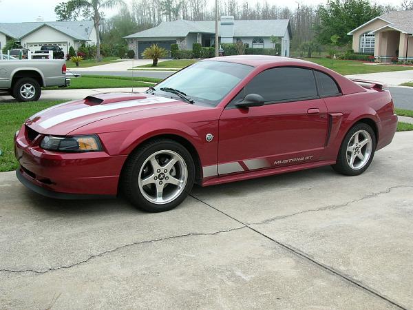 Ponies on The Run!-dscn0263.jpg