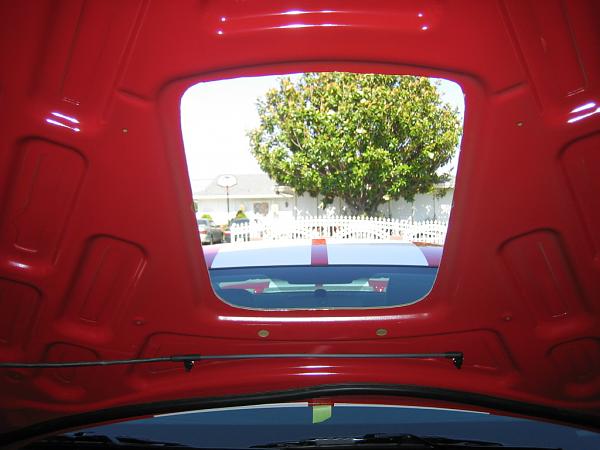 Ponies on The Run!-img_1064.jpg