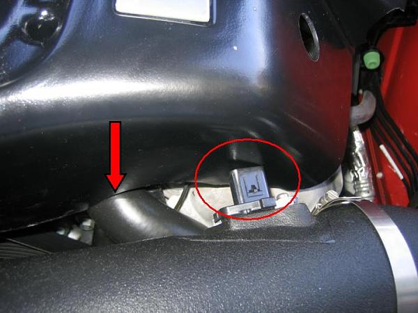 Ponies on The Run!-riding-conditions.jpg