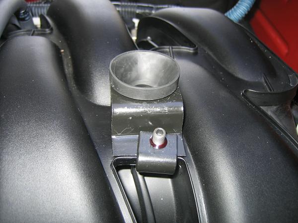 Ponies on The Run!-img_1090.jpg