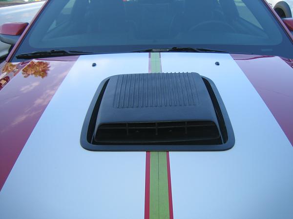 Ponies on The Run!-img_1085.jpg