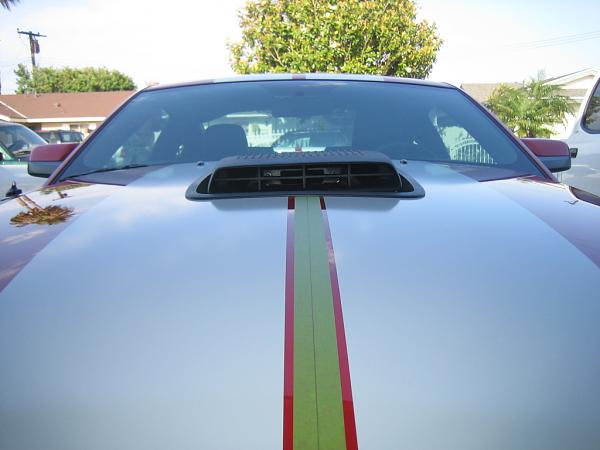 Ponies on The Run!-img_1086.jpg