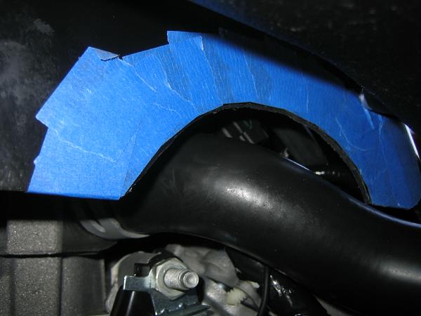 Ponies on The Run!-img_1084.jpg