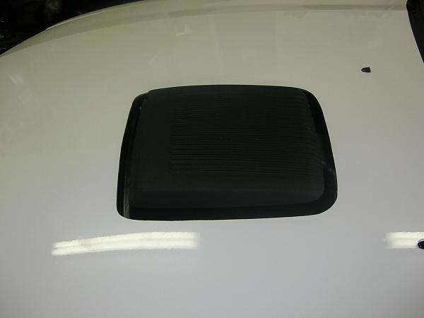 Ponies on The Run!-dscn3503.jpg