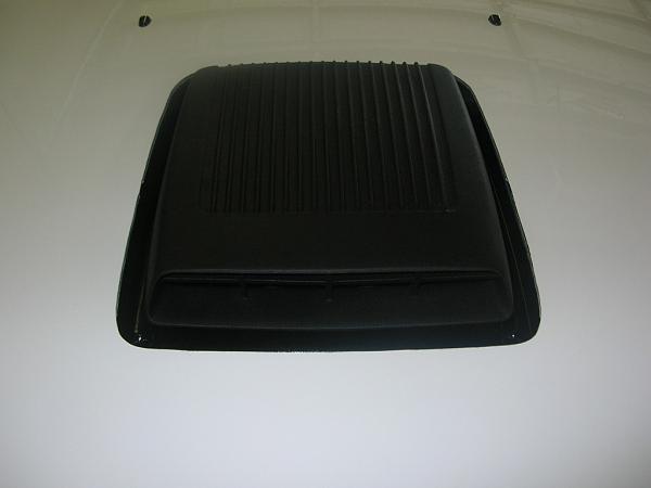 Ponies on The Run!-dscn3504.jpg