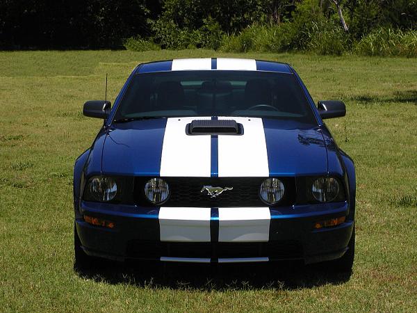 Ponies on The Run!-stripes-all-done-front-2.jpg