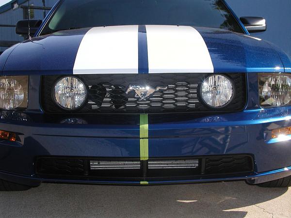 Ponies on The Run!-front-bumper-masked-1.jpg