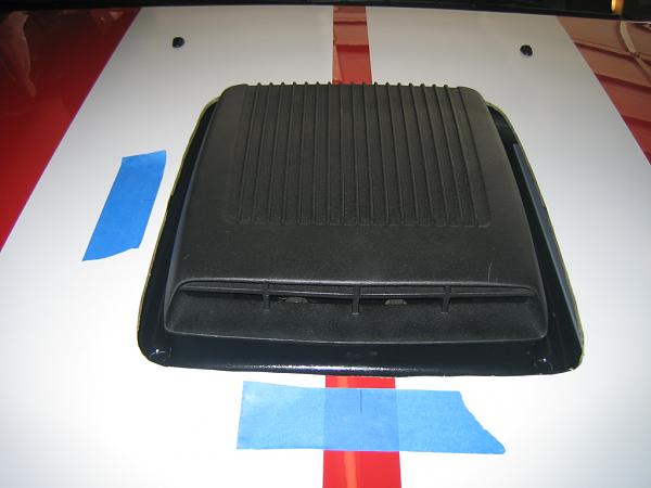 Ponies on The Run!-img_1102.jpg