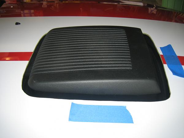 Ponies on The Run!-img_1103.jpg