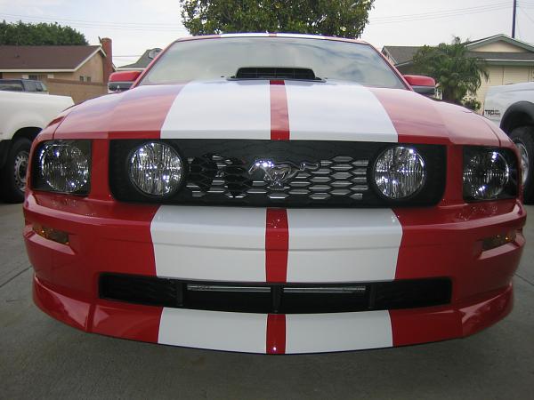 Ponies on The Run!-img_1160.jpg