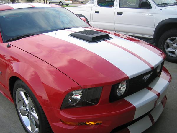 Ponies on The Run!-img_1158.jpg