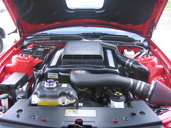 Ponies on The Run!-img_1149.jpg