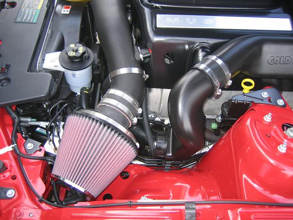 Ponies on The Run!-img_1150.jpg