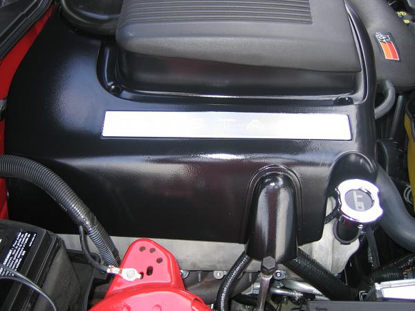 Ponies on The Run!-img_1151.jpg