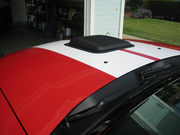 Ponies on The Run!-img_1119.jpg