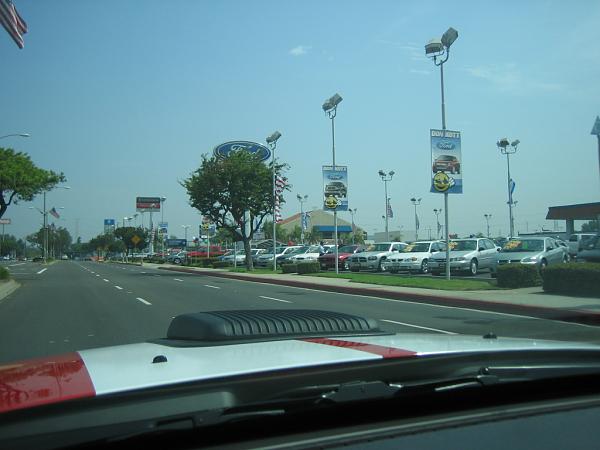 Ponies on The Run!-img_1126.jpg