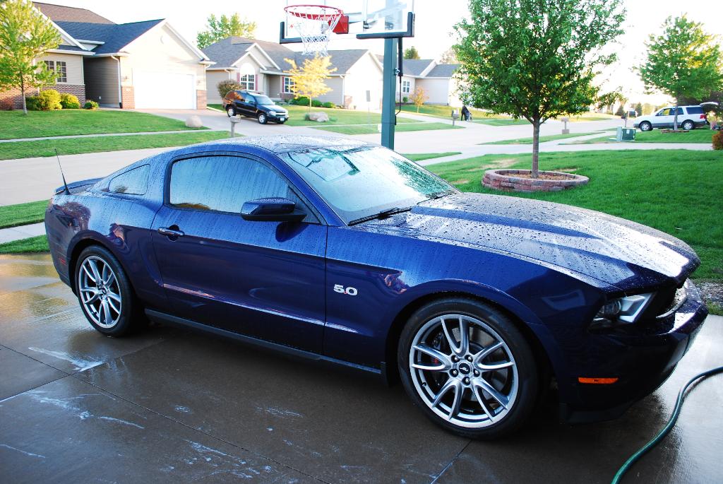 Name:  DSC_0092-1.jpg
Views: 58
Size:  143.8 KB