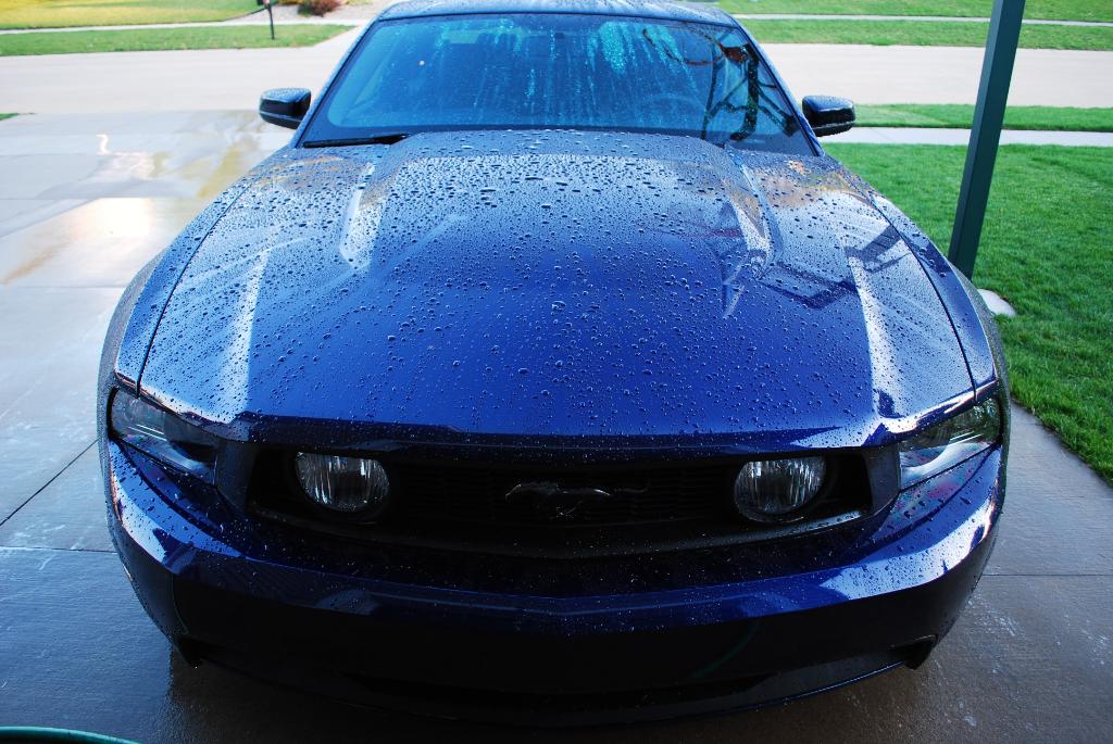 Name:  DSC_0095.jpg
Views: 84
Size:  132.6 KB