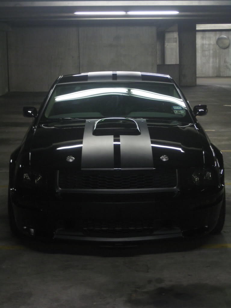 Forum Member S Nicknames For Their Cars The Mustang Source