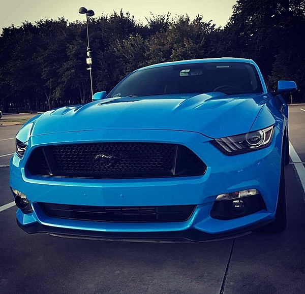 What did you do with your Mustang today?*-d73e3490-0bb3-4d2f-93a4-0a42ecfcb4bd.jpeg