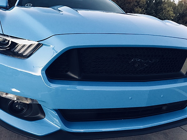 What did you do with your Mustang today?*-ee1759ed-63a1-49fc-b5ed-23952328ce2f.jpeg