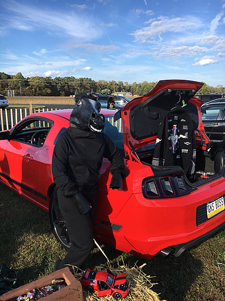 What did you do with your Mustang today?*-photo468.jpg