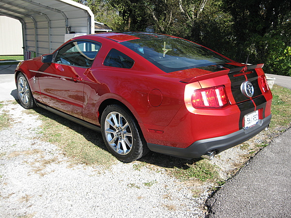 What did you do with your Mustang today?*-img_0665.jpg