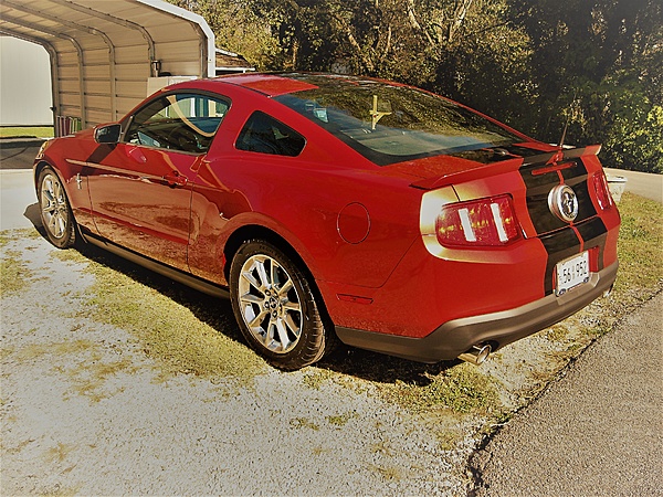 What did you do with your Mustang today?*-img_0665-2-.jpg