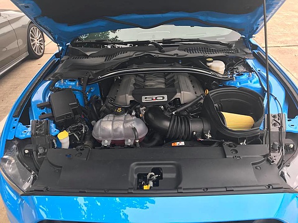 What did you do with your Mustang today?*-23231427_10214385316683932_4122437707410776687_n.jpg