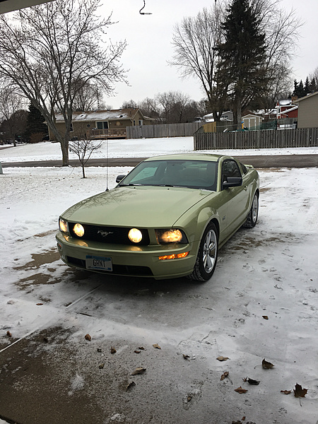 What did you do with your Mustang today?*-photo457.jpg