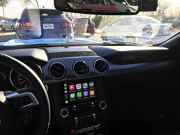 What did you do with your Mustang today?*-img_4124.jpg