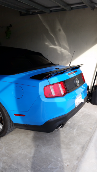 What did you do with your Mustang today?*-image3.png