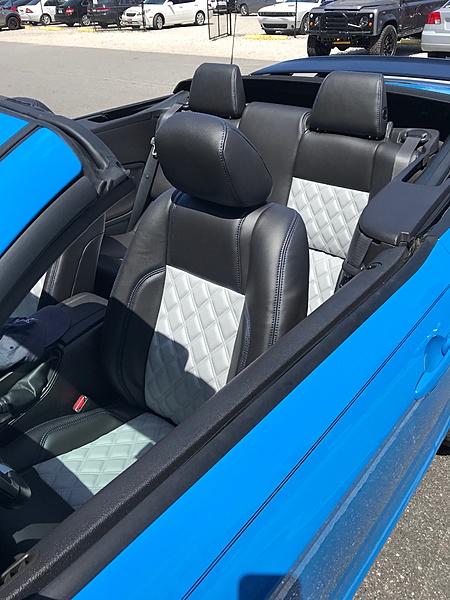 What did you do with your Mustang today?*-img_0159.jpg