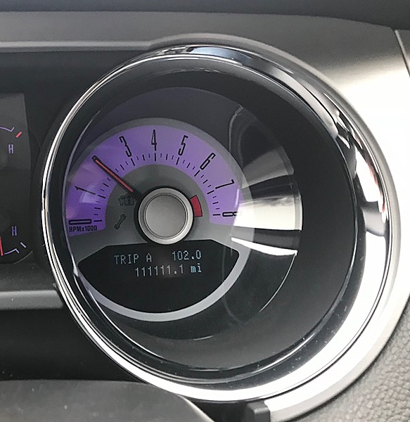 What did you do with your Mustang today?*-111111.jpg