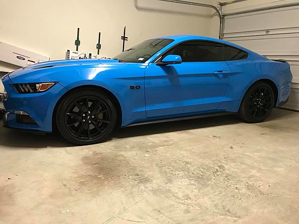 What did you do with your Mustang today?*-31445040_10215894565374206_7089845692536979456_n.jpg