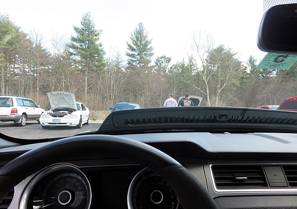 What did you do with your Mustang today?*-img_8248b.jpg