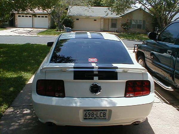 Ponies on The Run!-005.jpg