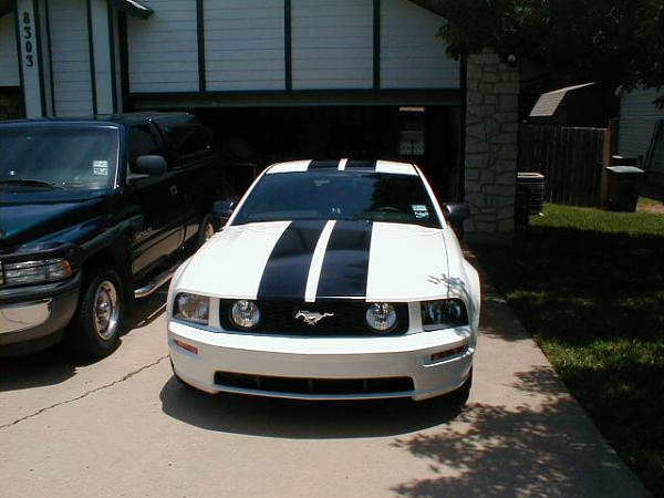 Ponies on The Run!-0626062.jpg