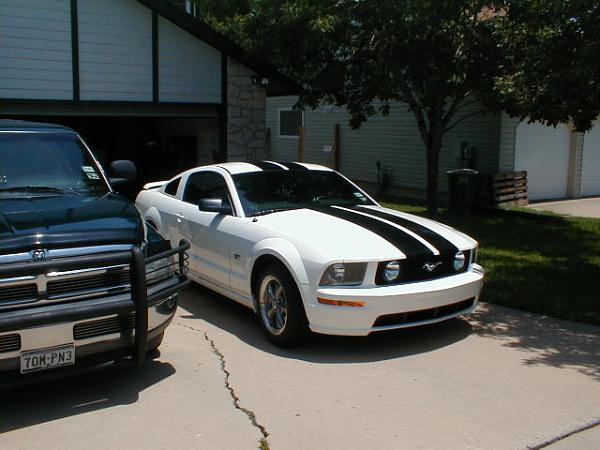 Ponies on The Run!-0626063.jpg