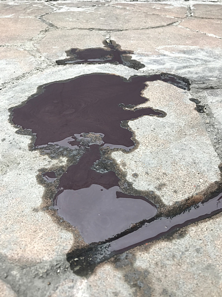 What did you do with your Mustang today?*-photo853.jpg