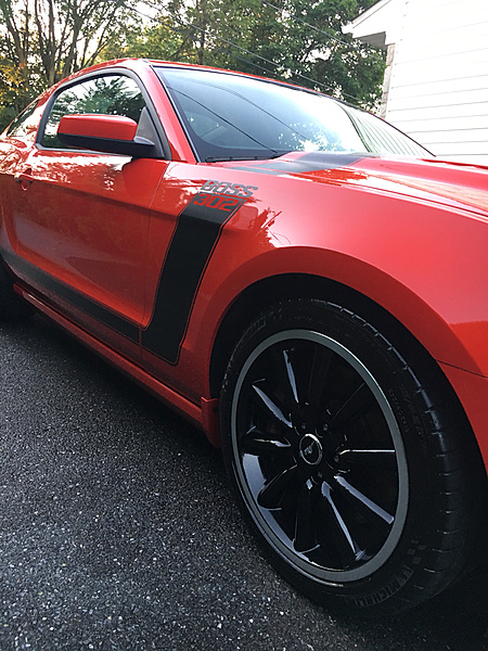 What did you do with your Mustang today?*-photo485.jpg