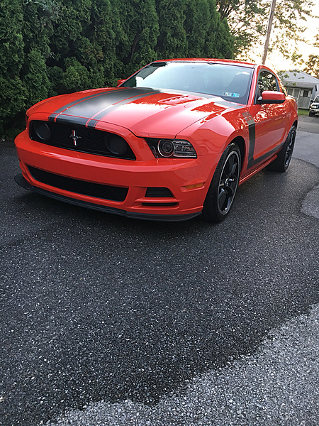 What did you do with your Mustang today?*-photo594.jpg