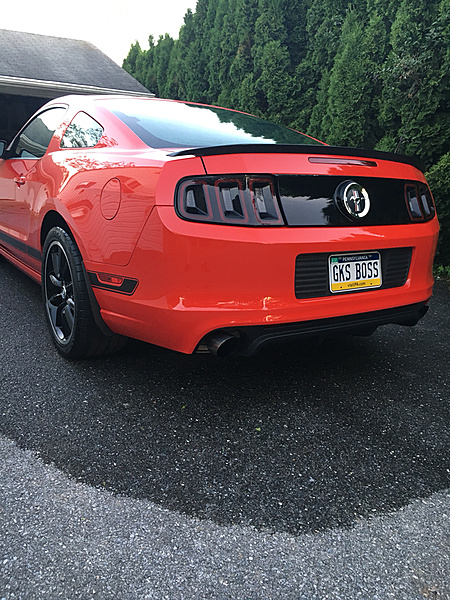 What did you do with your Mustang today?*-photo19.jpg