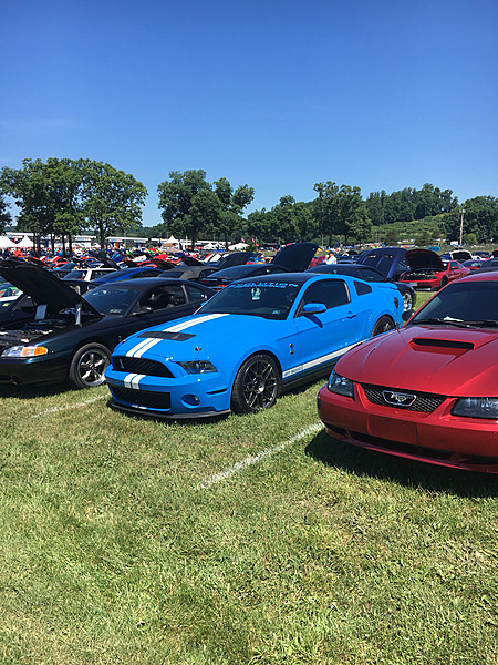 What did you do with your Mustang today?*-photo660.jpg