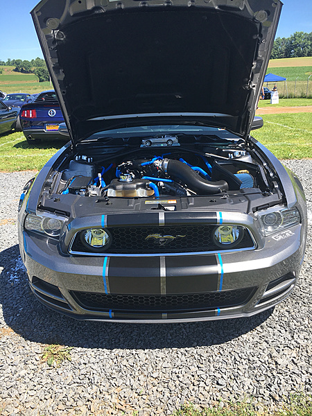 What did you do with your Mustang today?*-photo759.jpg