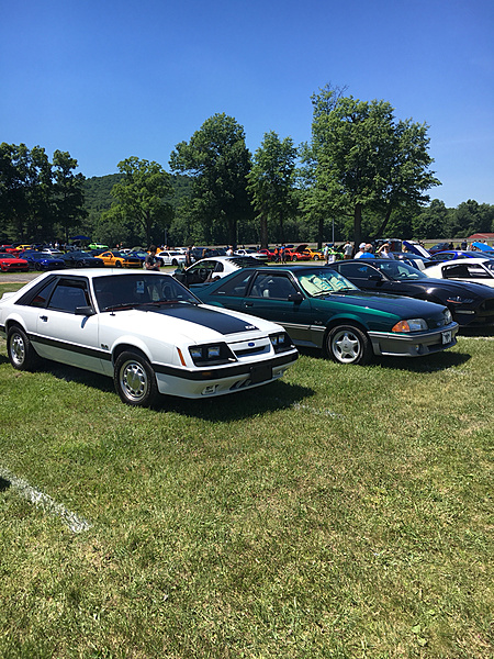 What did you do with your Mustang today?*-photo135.jpg