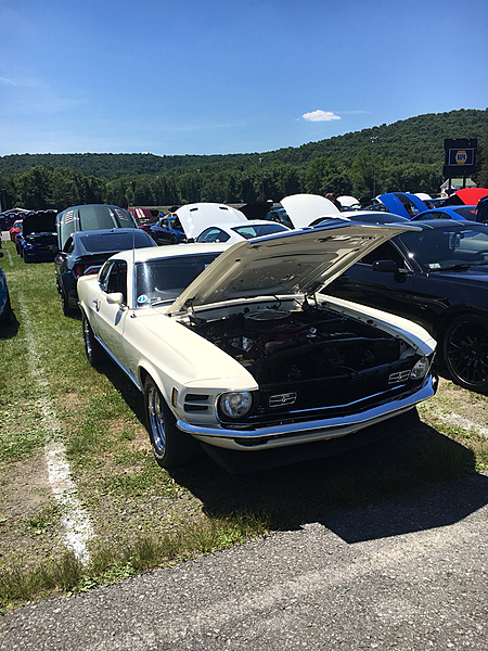 What did you do with your Mustang today?*-photo321.jpg